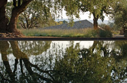 Andrea Cochran Landscape Architecture