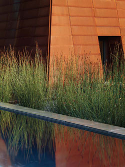 Andrea Cochran Landscape Architecture