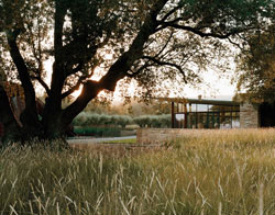 Andrea Cochran Landscape Architecture