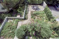 Barbara Bacher – Austria