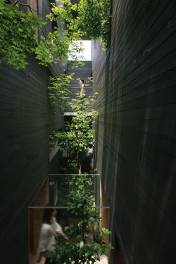 Landscape-Niwatan &ndash; Japan