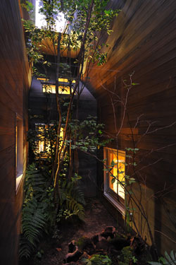 Landscape-Niwatan &ndash; Japan